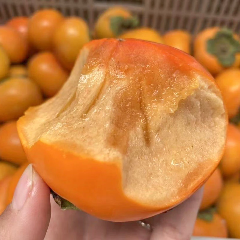 【放置颜色变黄食用】阳丰巧克力脆柿4.5-5斤单果130g+约12-18个果