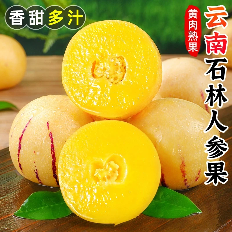 【清甜多汁】云南石林人参果单果50-80g净重3斤约18-28枚当季水果F