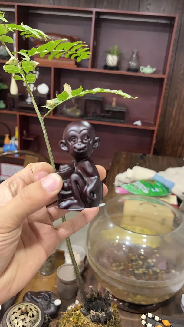 黑檀木生肖元宝猴子手把件摆件66