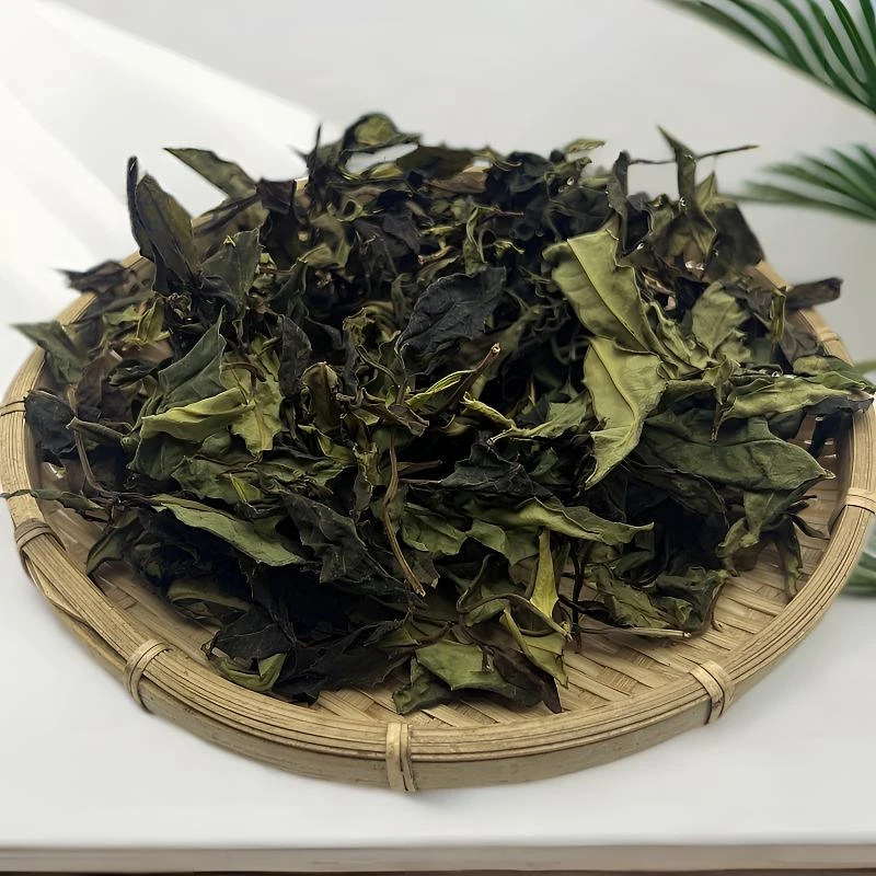 2024年【滑竹梁子野生古树白茶】蚌龙50号 （散茶）