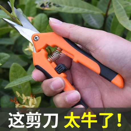 多功能农帮手名钻翘头翘修花锯齿稀剪刀果剪工具剪子嫁接剪家用加