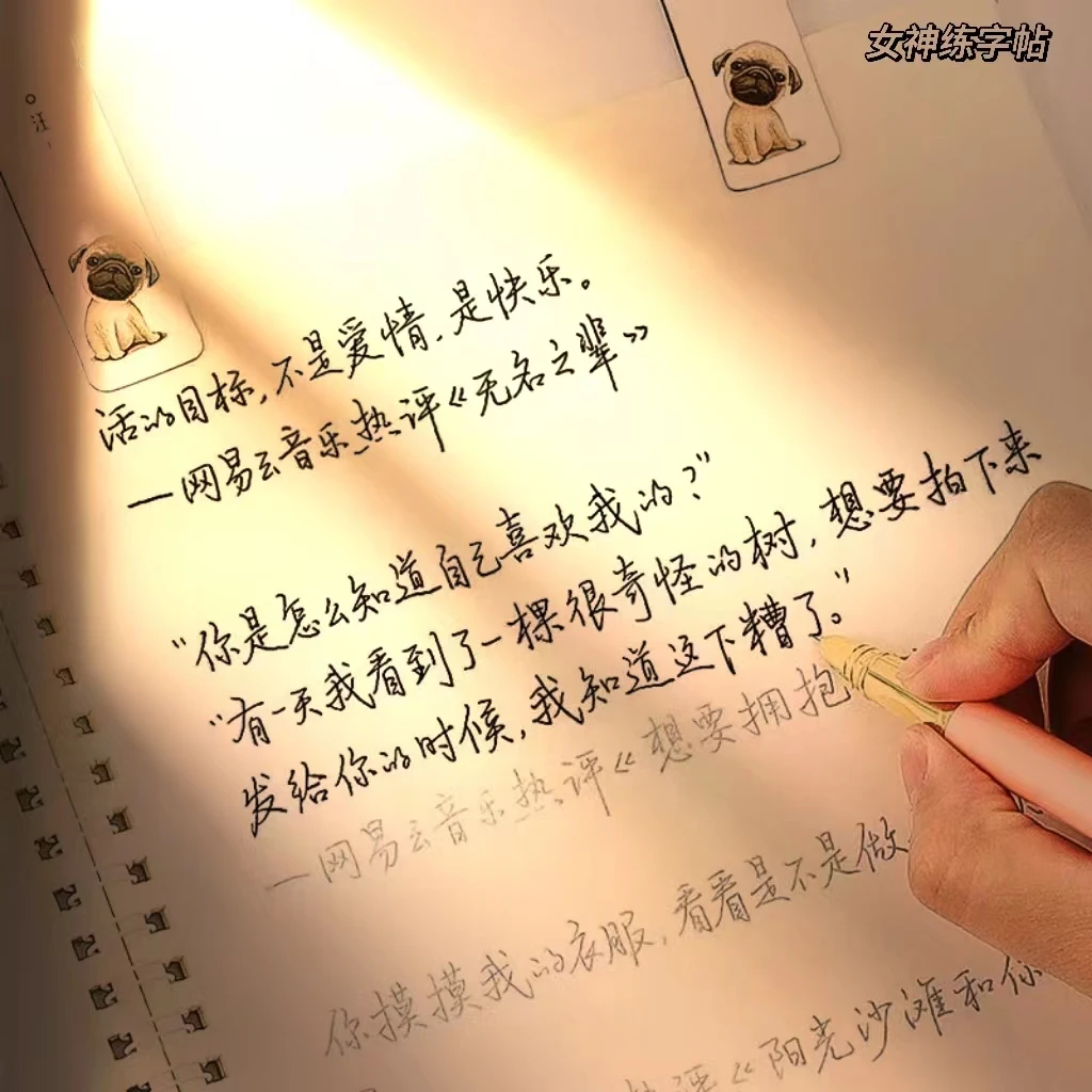 男女生楷书行书成人清新硬笔速成手写体高中大学生临摹漂亮练字帖