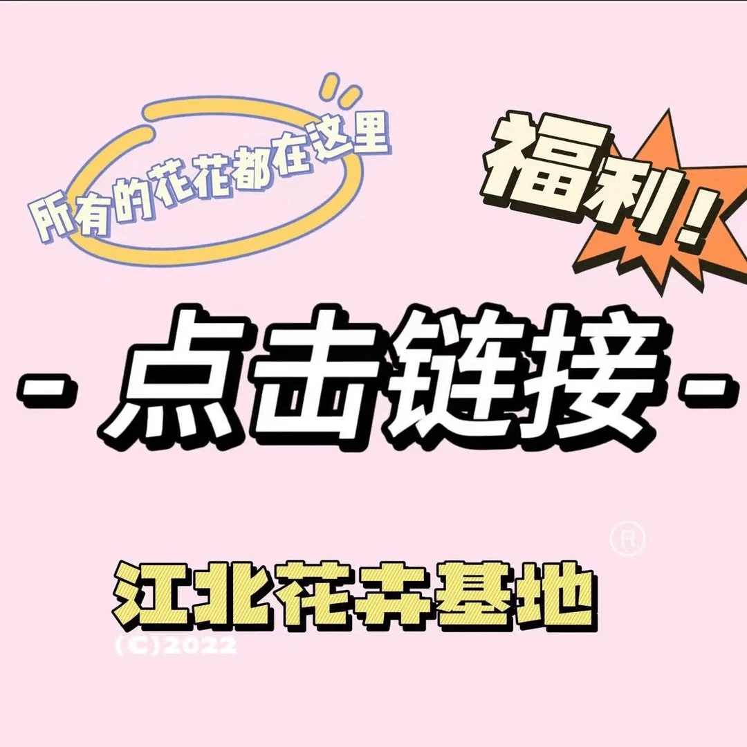 花卉植物一物一拍