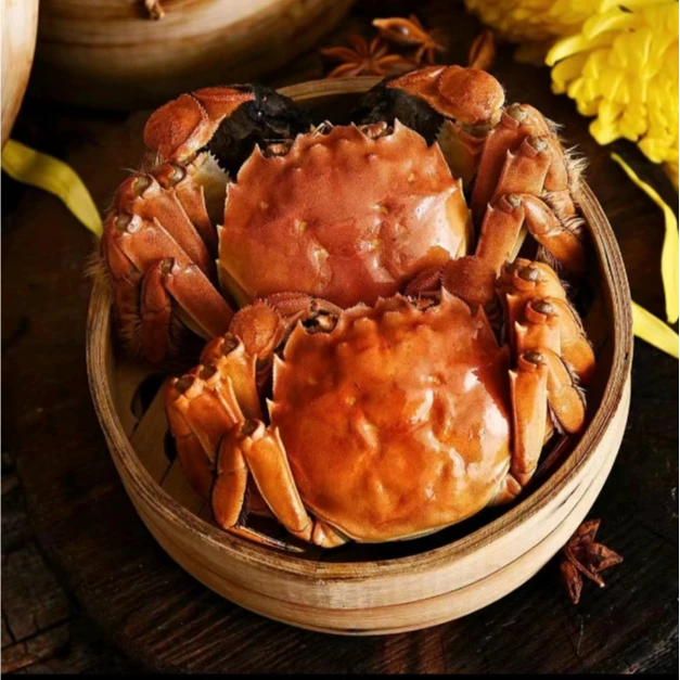 【江苏活蟹】鲜活大闸蟹公5.0-4.7两 母4.0-3.7两 共10只 礼盒