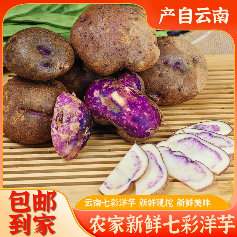 正宗云南会泽老品种七彩洋芋紫皮土豆高山洋芋现挖现发 整箱包邮