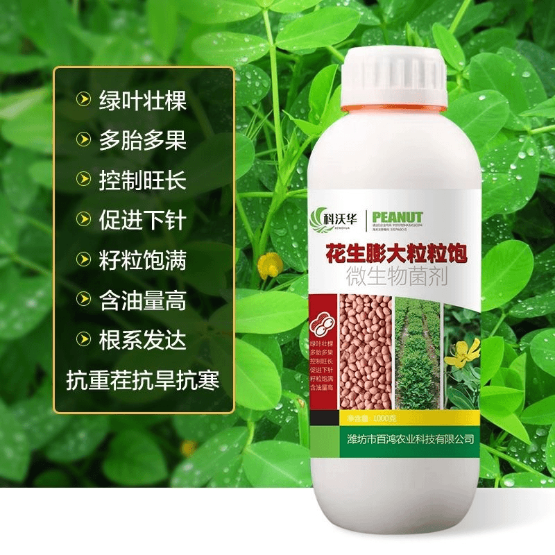 花生膨大粒粒饱绿叶壮棵颗粒饱满提高产量肥根茎增强快速优选