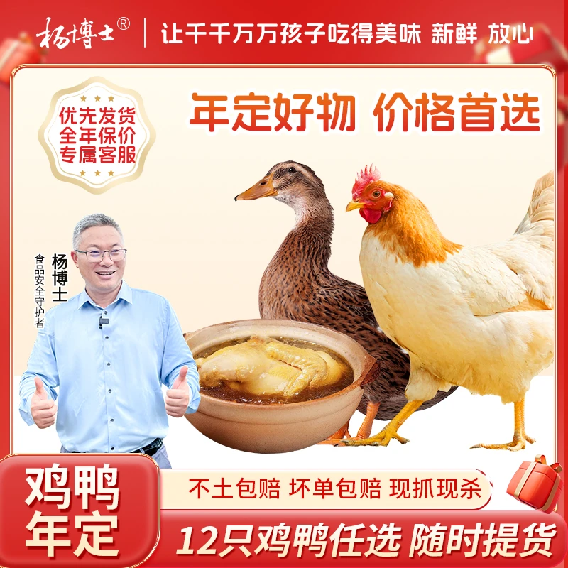 杨博士(鸡鸭年定12只)新鲜皖南高山竹林散养土鸡土鸭健康高品质