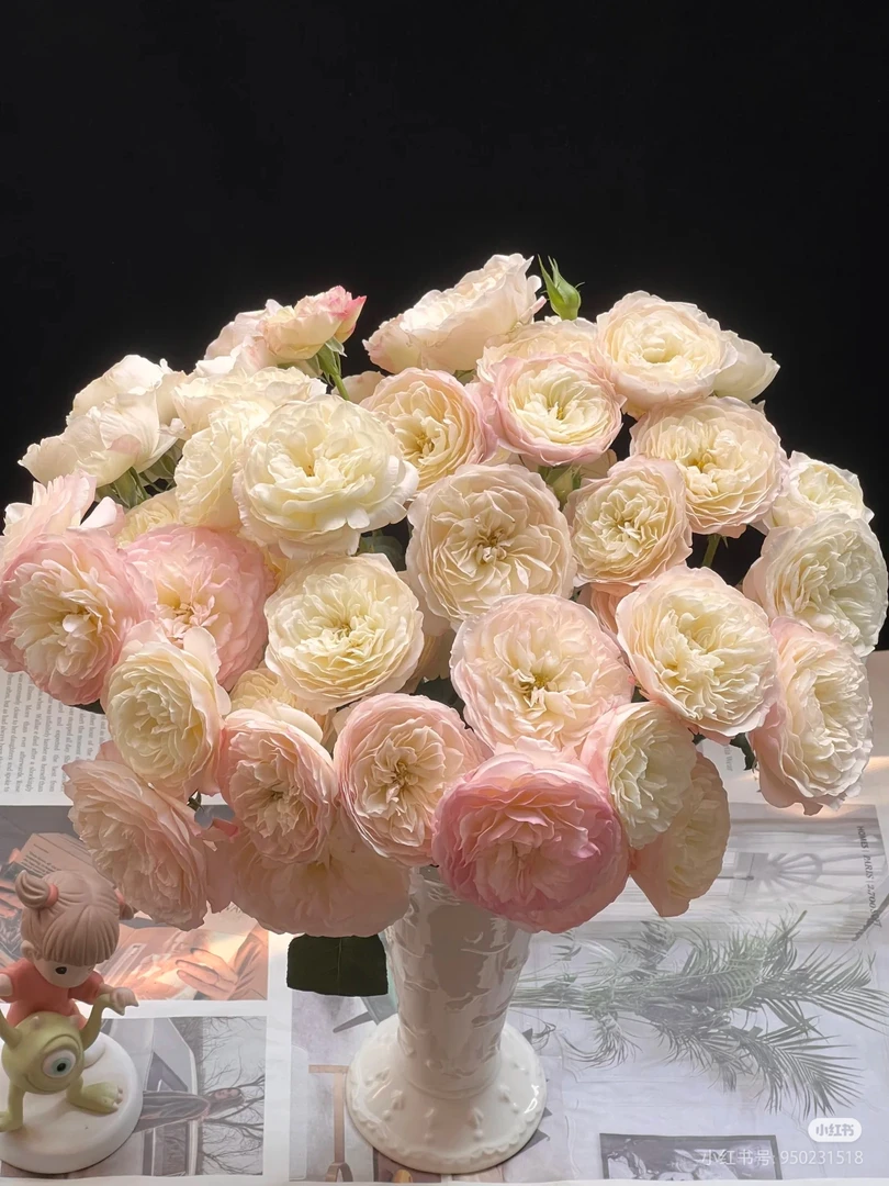 ［好物鲜花］多头凯拉玫瑰10支 两单包邮