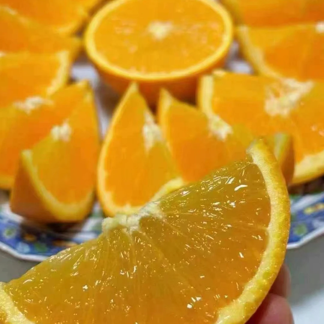 澳洲袋鼠脐橙橙味甜果味浓汁多净重7斤左右