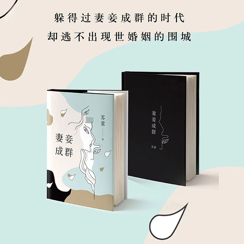 妻妾成群（张艺谋电影《大红灯笼高高挂》原著作品）评论长篇当代创作