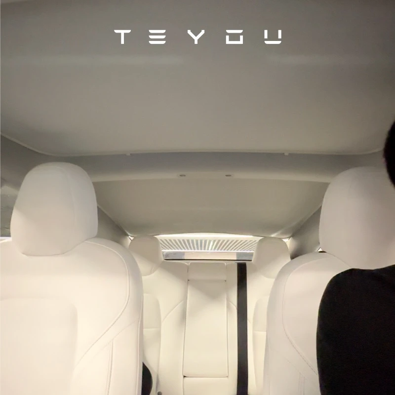 特友（TEYOU）适用特斯拉Model3/Y钛银遮阳帘天窗防晒配件JOWUA