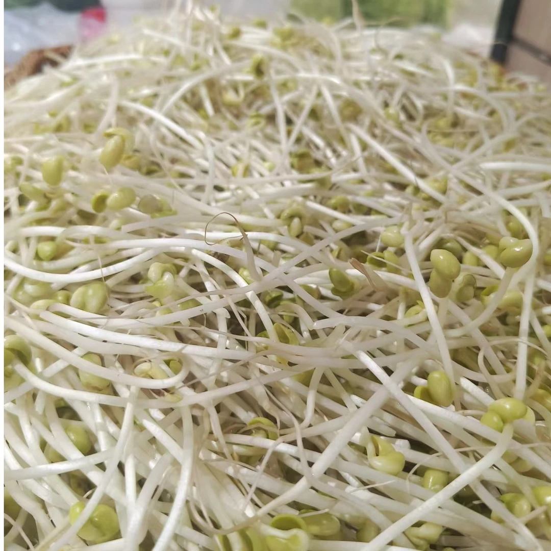 黄豆芽  3.98 一斤