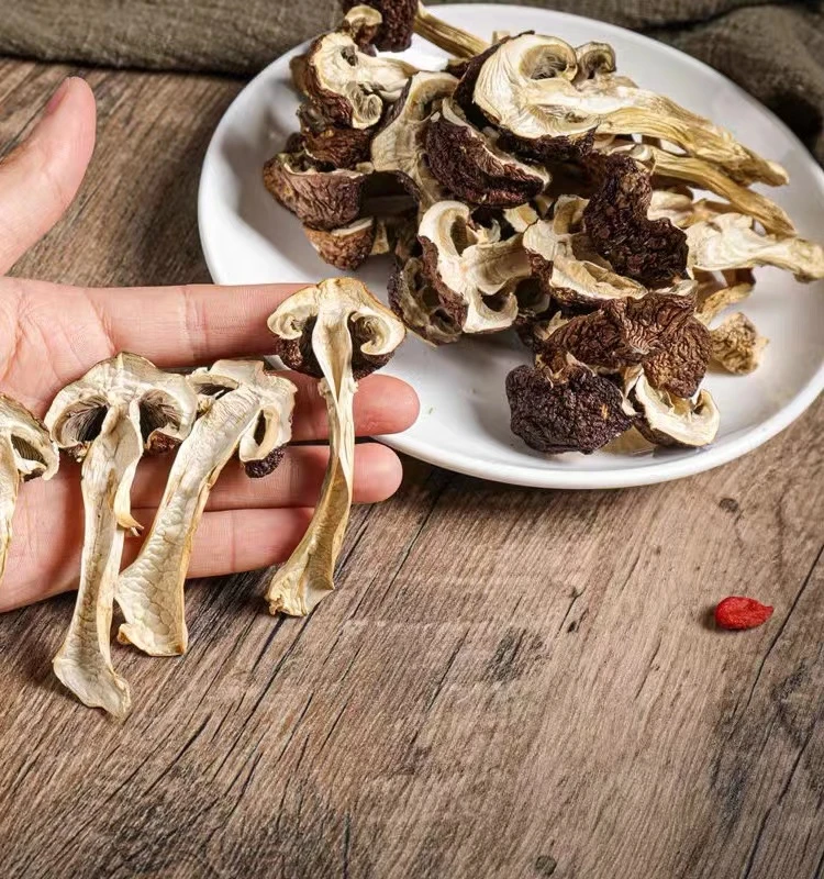 赶集现收云南高山赤松茸菇