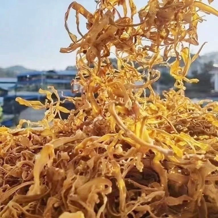 云南赶集现收黄金笋菇