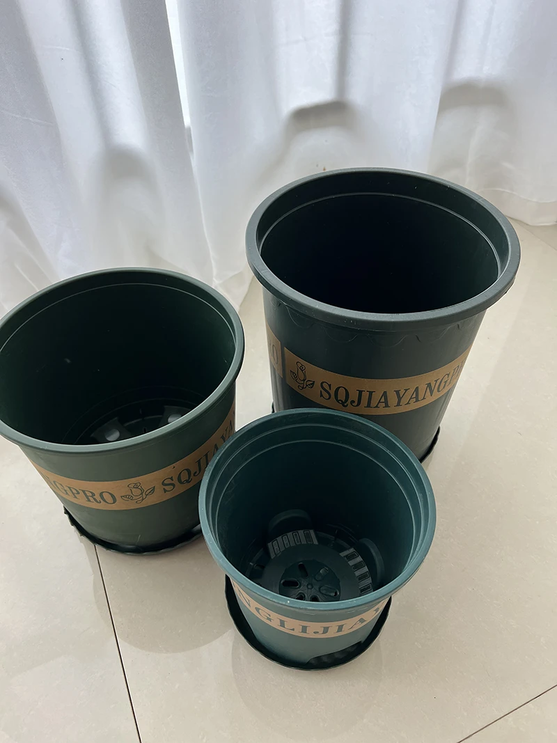 【郁金香专用花盆】底部漏水孔多透水性好