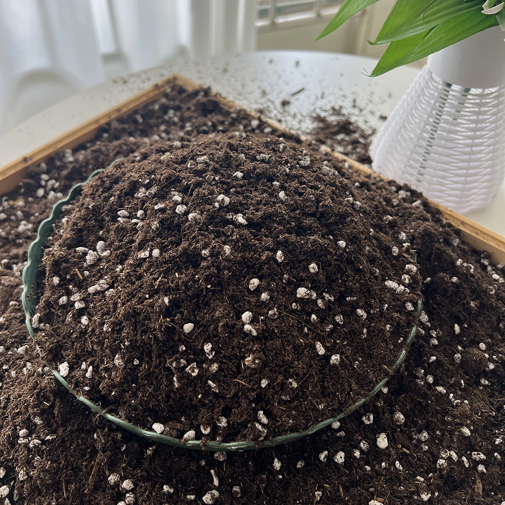 郁金香专用营养土【成分：泥炭+珍珠岩+椰糠+蛭石】花卉绿植