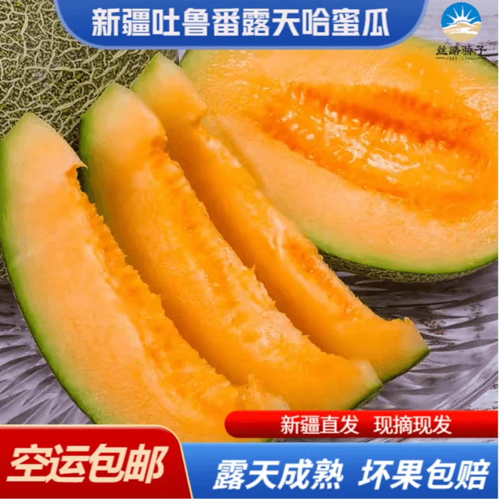 【空运包邮】丝路骄子正宗新疆吐鲁番西州蜜哈密瓜