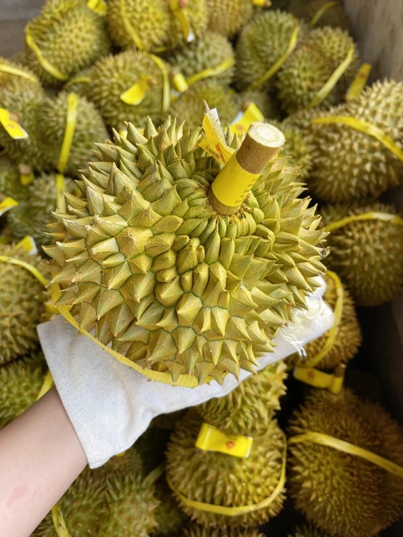 泰国金枕榴莲（每单限购1个）