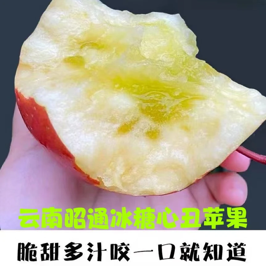 2025云南昭通冰糖心早熟红露丑苹果现摘现发脆甜多汁红富士苹果
