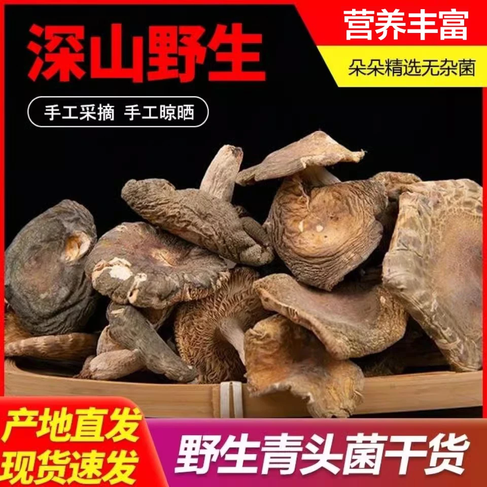 秦岭伏牛山正宗野生青头菌农家蘑菇青菇纯天然干货红菇煲汤