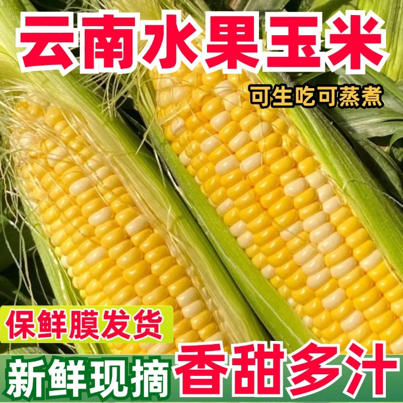 云南现摘新鲜水果玉米生吃即食甜玉米棒子爆浆甜糯苞谷米蔬菜