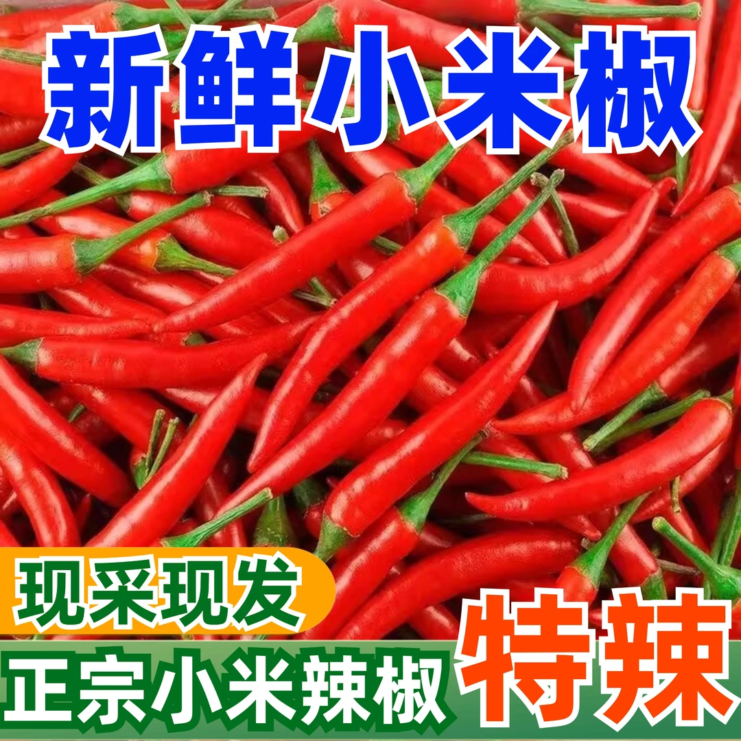 新鲜特辣小米椒农家种植香辣朝天椒泡椒剁椒批发