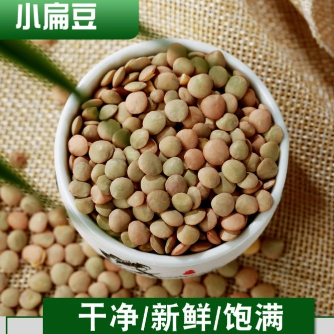 小扁豆包邮甘肃特产扁豆兵豆山地扁豆农家绿扁豆可生扁豆芽