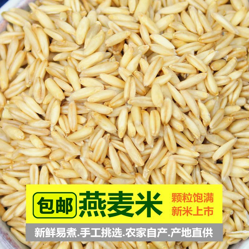 燕麦米农家燕麦仁裸燕麦粒新米燕麦米颗粒营养软糯饱满味道