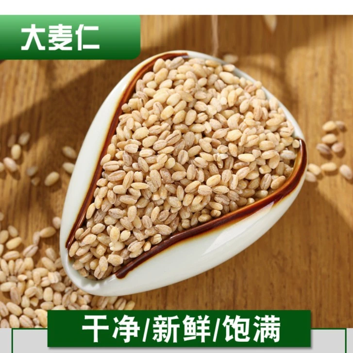 麦仁去皮大麦仁农家自产大麦米杂粮粗粮煮粥蒸饭新鲜颗粒食用饱满