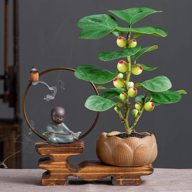 菩提树盆栽小盼菩提盆景带果中式禅意桌面摆件室内创意好养绿植物