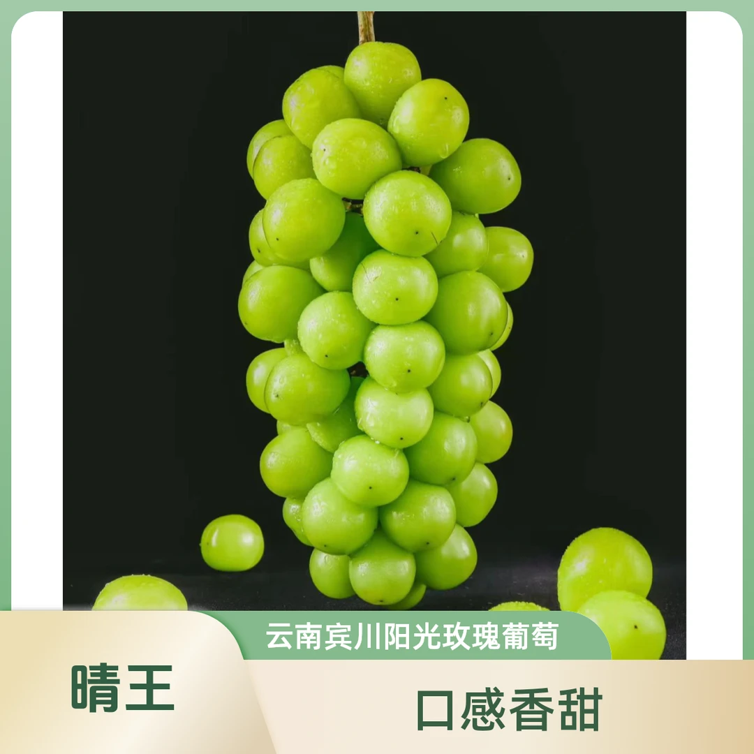 正宗云南阳光甜蜜葡萄水果晴王皇后提子新鲜精品现摘现发葡萄晴王