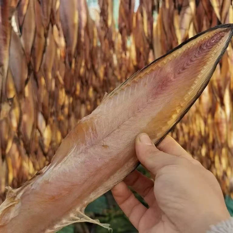 新晒先生鱼干海兔子鱼干老冷鱼干6到7成干