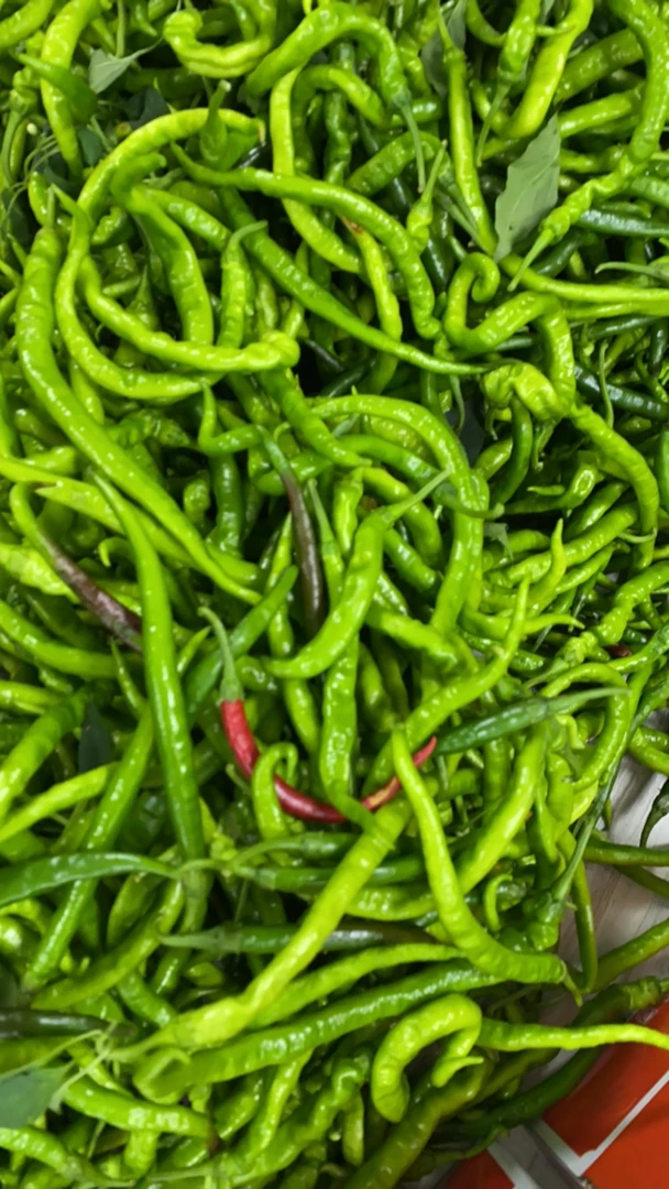 湘西高山正宗农家辣椒（微辣）