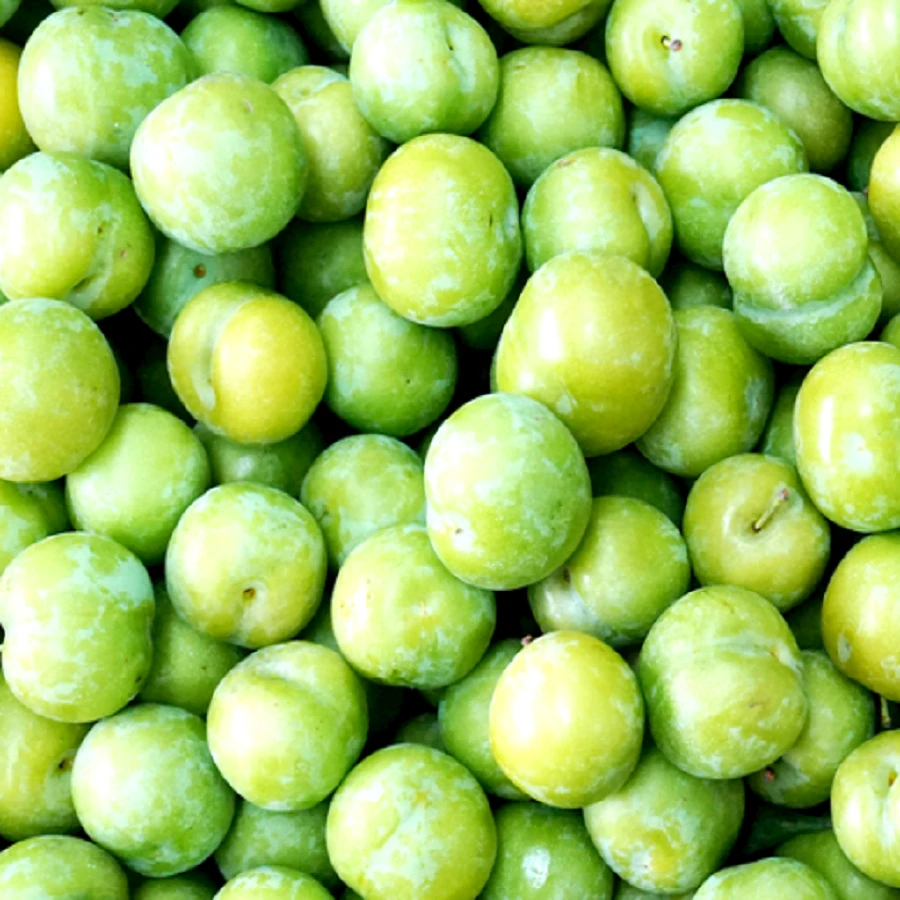 四川高山脆甜脱骨李当季新鲜水果10斤装