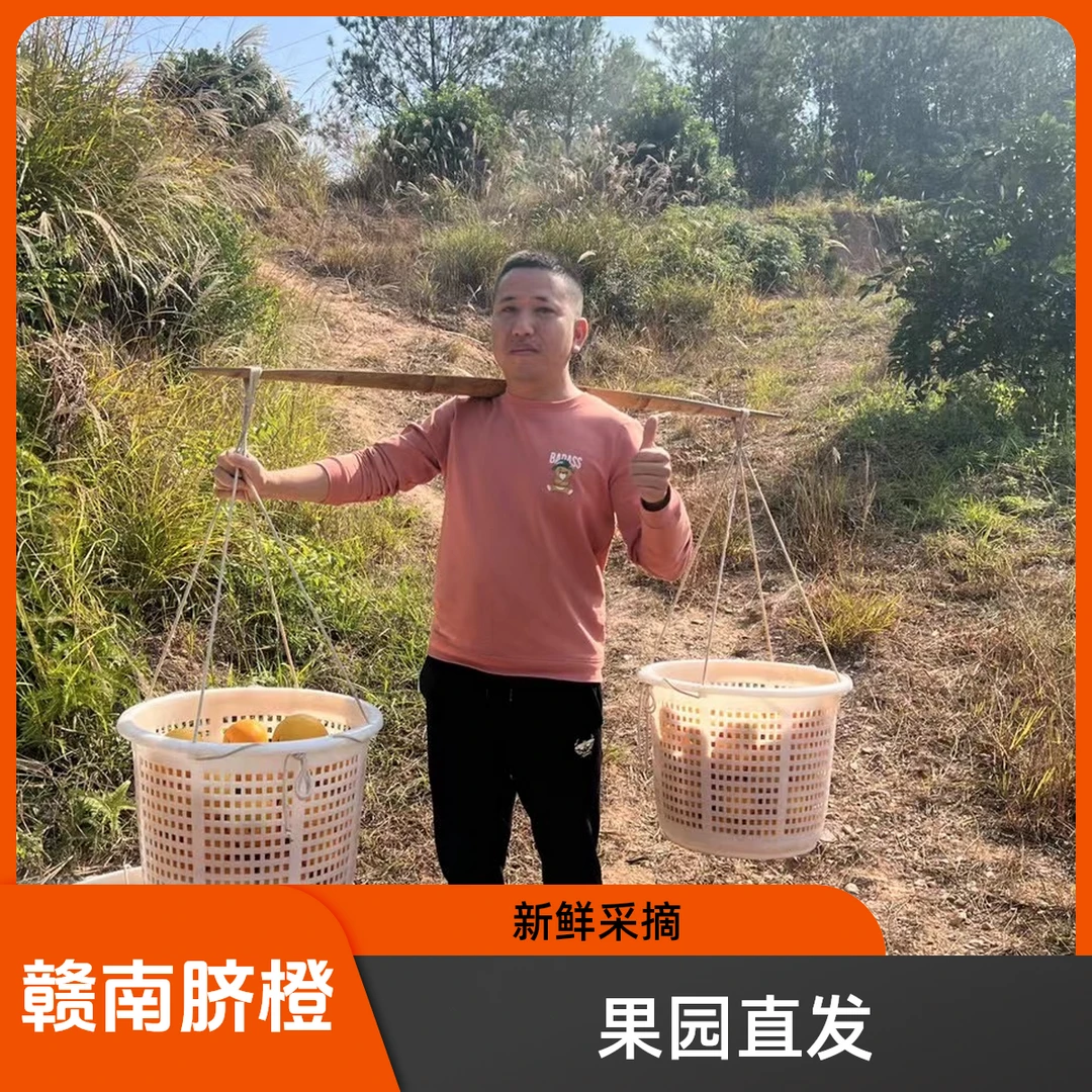 赣南脐橙江西赣州果园直发新鲜采摘10Kg装
