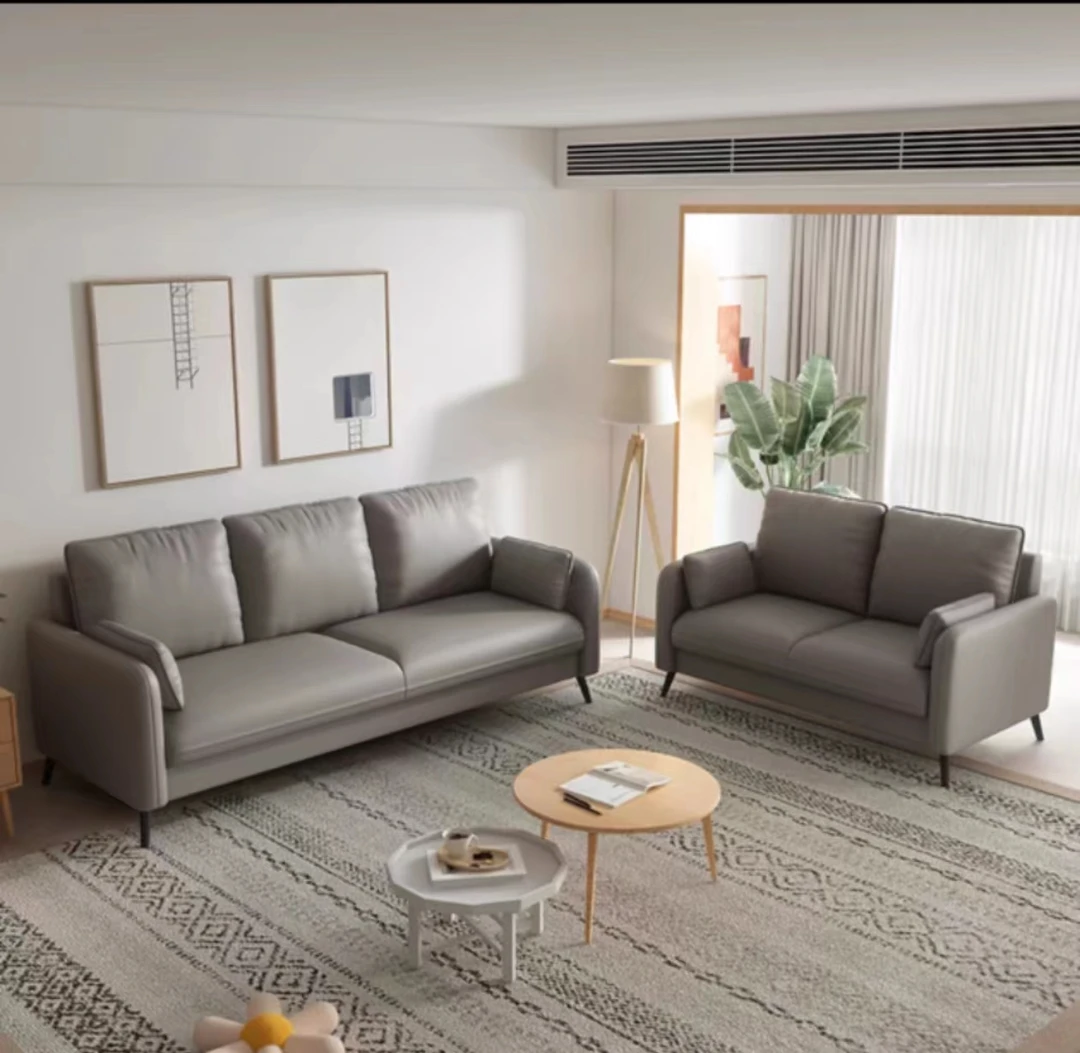 家用简约沙发双人极简卧室公寓出租房服装店意式三人位办公客厅