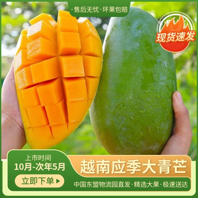 【放软食用】越南大青芒1-9斤爆甜软脆当季超大水果新鲜芒果