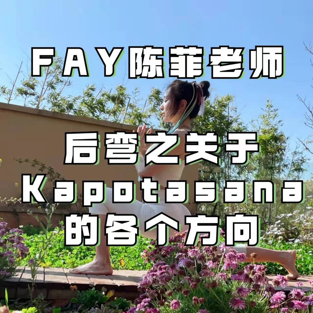 FAY陈菲老师后弯之关于Kapotasana的各个方向