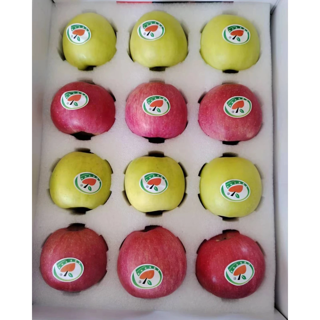 精品瑞雪/瑞阳12枚拼装苹果