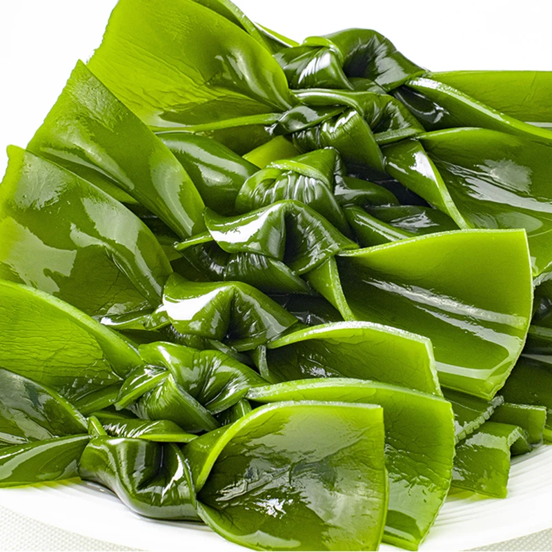 霞浦新鲜盐渍海带结商用海带扣无沙厚实软糯半货关东煮钵钵鸡食材