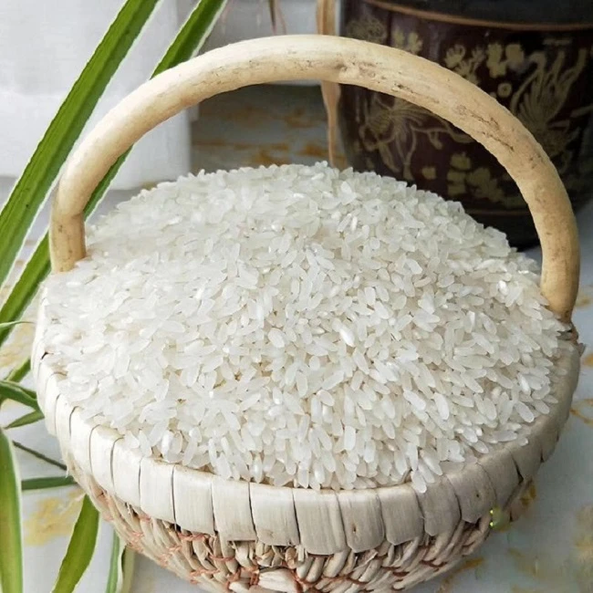 粥米石板米2024年新米 古法传统农耕种植正宗石板米5斤大米粥