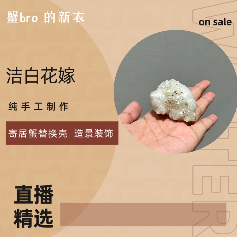 “洁白花嫁”寄居蟹手工替换壳原创纯手工制作造景装饰