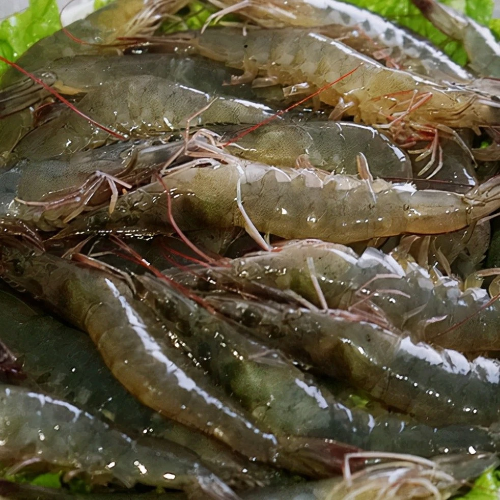 活虾3斤【保鲜不保活】
