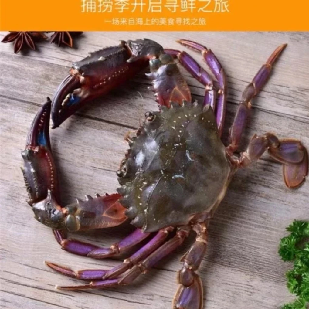 鲜活 赤 甲 红 蟹3斤   2-4两左右【保鲜不保活】个别掉腿