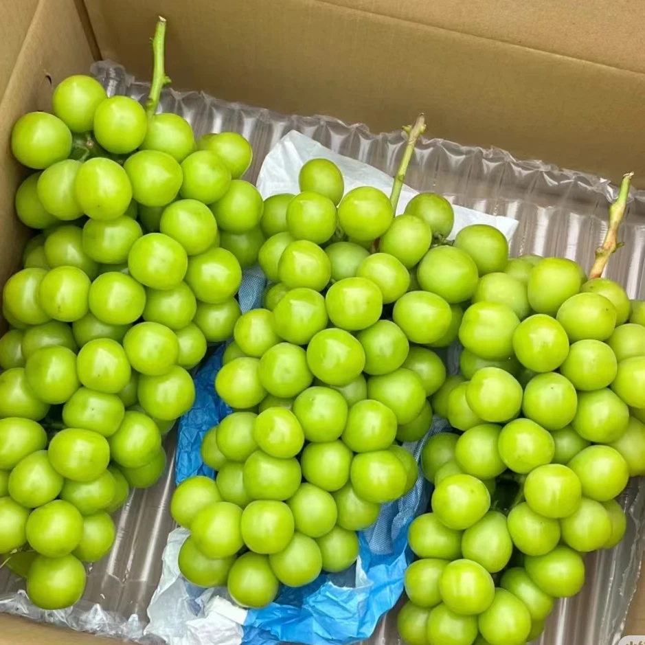 【意象专属】正宗晴王阳光玫瑰青提纯甜无酸无籽无核新鲜多汁饱满