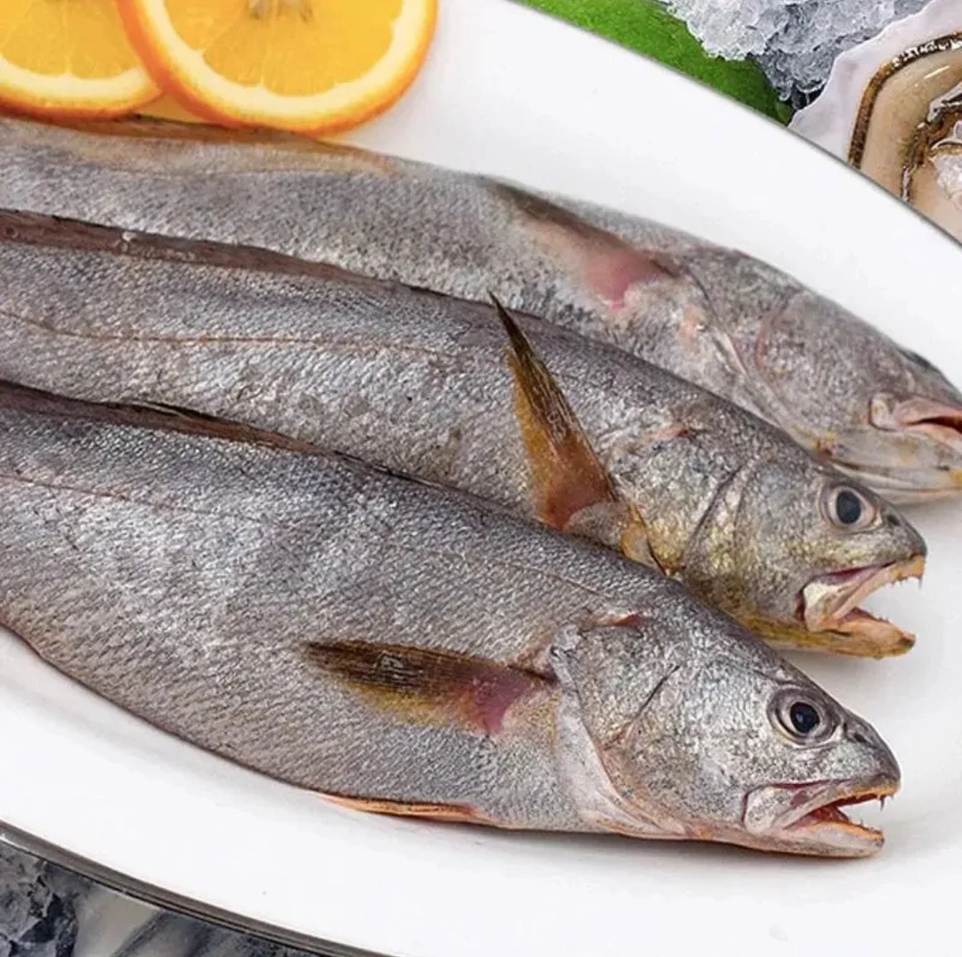 鳘鱼野生鮸鱼红烧香煎味道鲜美6-8两/条经济实惠