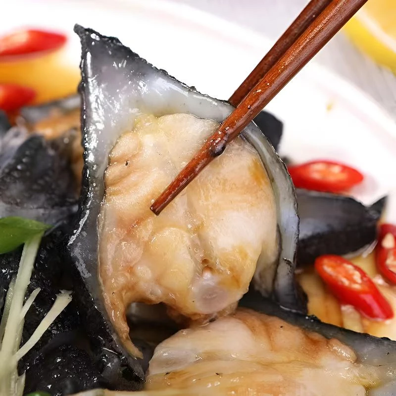 海参斑鱼段 新鲜速冻深海海鲜去鱼去沙去内脏红烧清蒸400g/包*6包