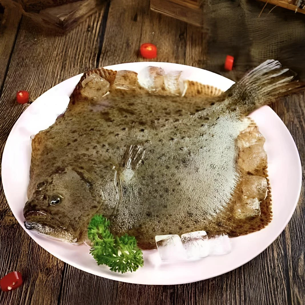 连云港发货 新鲜速冻美味多宝鱼 400g/条*6条