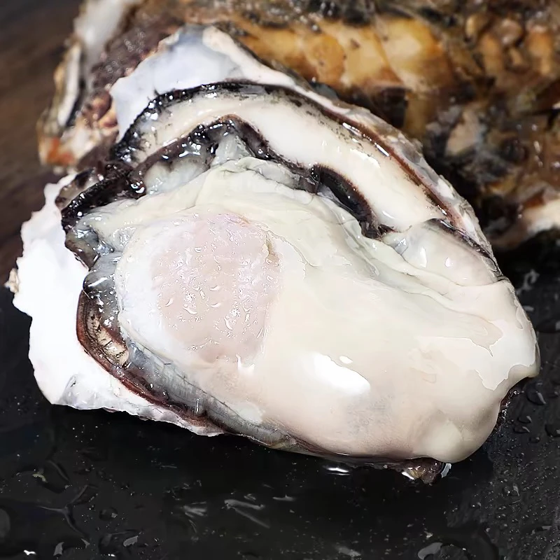 连云港发货 新鲜生蚝 肉质饱满 1斤3个左右到手7斤 送吃蚝工具