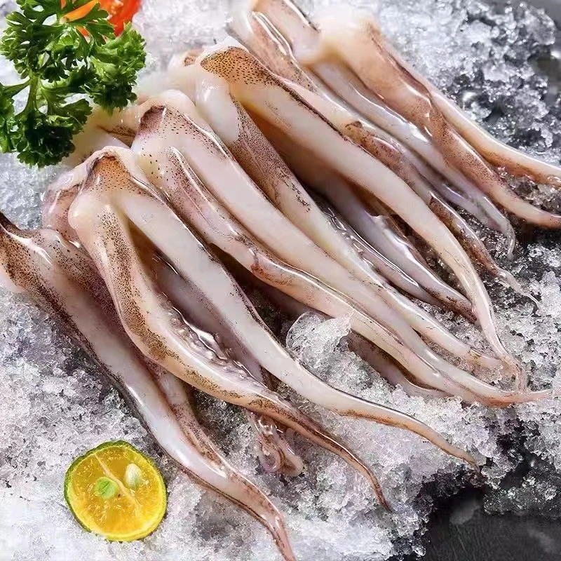 连云港发货 新鲜美味鱿鱼须 鲜冻二本足 含保护冰500g/包*5包